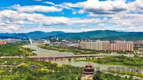 球挅足球比分-球挅足球比分，绿茵场上的数字交响曲