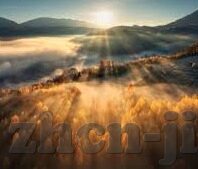 中非足球赛比分-中非足球赛比分背后，激情碰撞与友谊升华的绿茵篇章
