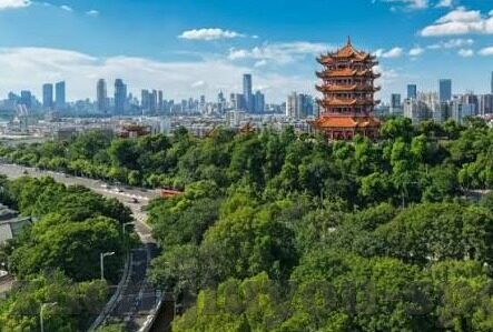 足球比分规则-足球比分规则全解析，从入门到精通的终极指南