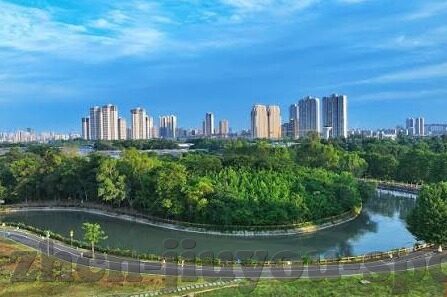 足球即时比分bet-足球即时比分bet，赛场风云，指尖掌控的激情与智慧